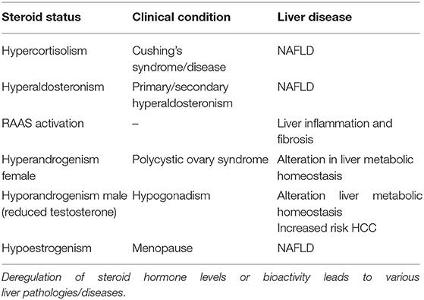 What is a potential side effect of steroid abuse on the liver?