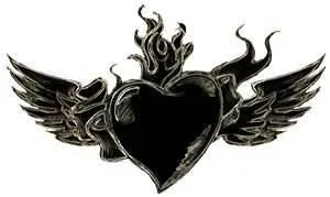 what heart do you have???? what heart do you have????