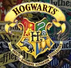 Which Hogwarts house would you be in? (2)