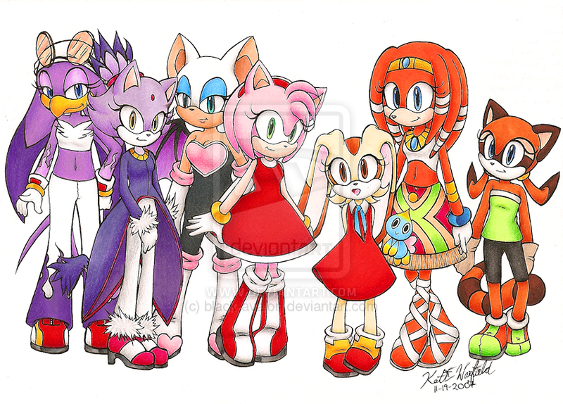 Which Sonic girl character are you?