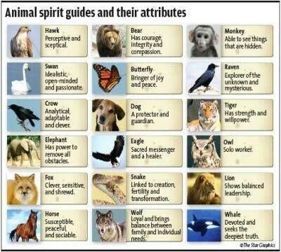 How to figure out your spirit animal?