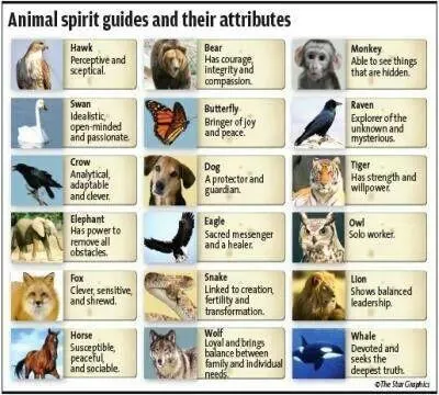 How to figure out your spirit animal? How to figure out your spirit animal?
