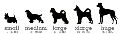 What dog size would best benefit you?