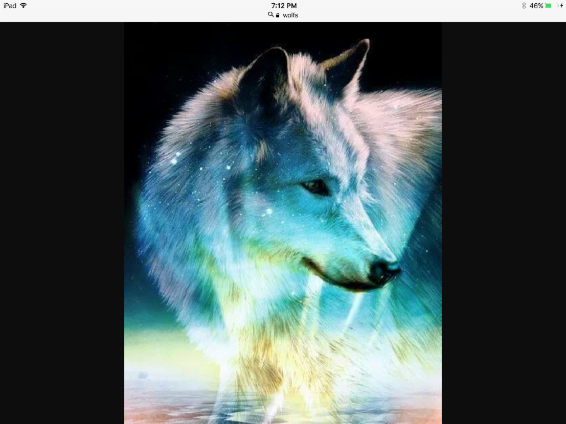 What rank in a wolf pack are u?