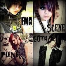 Are you emo, scene, goth or punk?