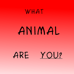 WHAT ANIMAL ARE YOU???