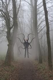 Will Slenderman Kill You If You Were Lost In The Woods At Night?