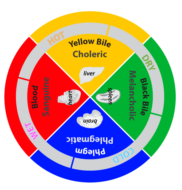 The Four Humors