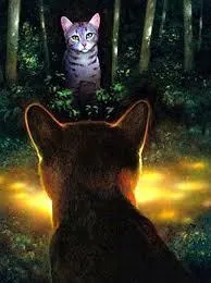 Are you Gray Wing or Clear Sky? Are you Gray Wing or Clear Sky?