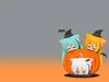 Raindash Raindash