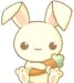 FluffyBuns01 FluffyBuns01