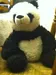 pandalovertothemax pandalovertothemax