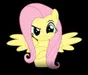 ponylover900 ponylover900