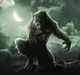 Beast659 Beast659