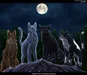 toughwolf3 toughwolf3