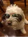 michelle_not_michellie michelle_not_michellie
