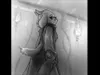 Toriel_Dreemurr Toriel_Dreemurr