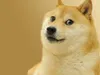 Doge_Leader Doge_Leader