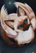 Real_Quick_Name_Change_Just_Let_Me_Think Real_Quick_Name_Change_Just_Let_Me_Think
