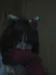 XxSad_Little_LionxX XxSad_Little_LionxX