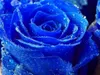 awesomenessqueen66 awesomenessqueen66