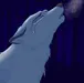 AceyPuppy AceyPuppy