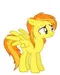 SpitFire SpitFire