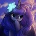 MLPNightShrowd