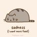 TheNyanPusheen