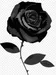 The_Rose_Gamer The_Rose_Gamer