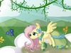 FluttershyTheFirst