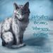 Jayfeather