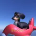 Ackermeme Ackermeme