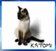 katomi katomi