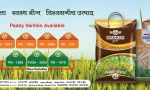 Nirankari Seeds-Best online seed stores in India