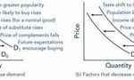 Trucking Industry Economic Impact Quiz