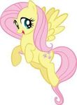 Fluttershy