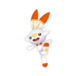 #813 Scorbunny