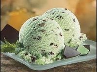 Mint Chocolate Chip