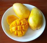 Mangoes