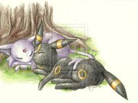 Umbreon x Espeon