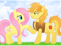 fluttershy and braeburn