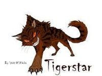 Tigerstar