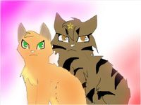 Tigerstar x Firestar