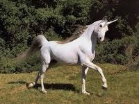 unicorn