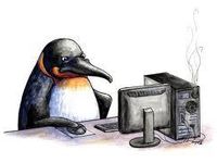 Other (if you select this you're a penguin and if you are you are highly advanced and I'm sending government officials your way)