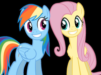 Rainbowdash or Fluttershy