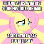 Fluttershy