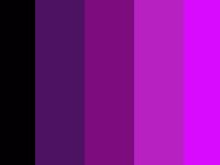 Black, purple, and magenta