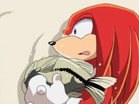 Knuckles